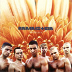 Rammstein Herzeleid